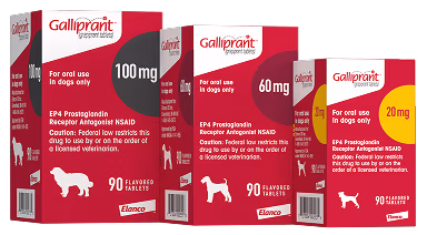 Galliprant Tablet for Dogs