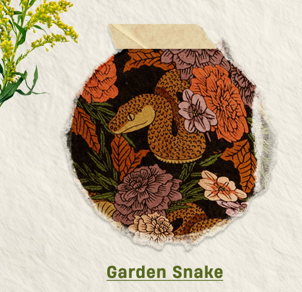 Garden Snake