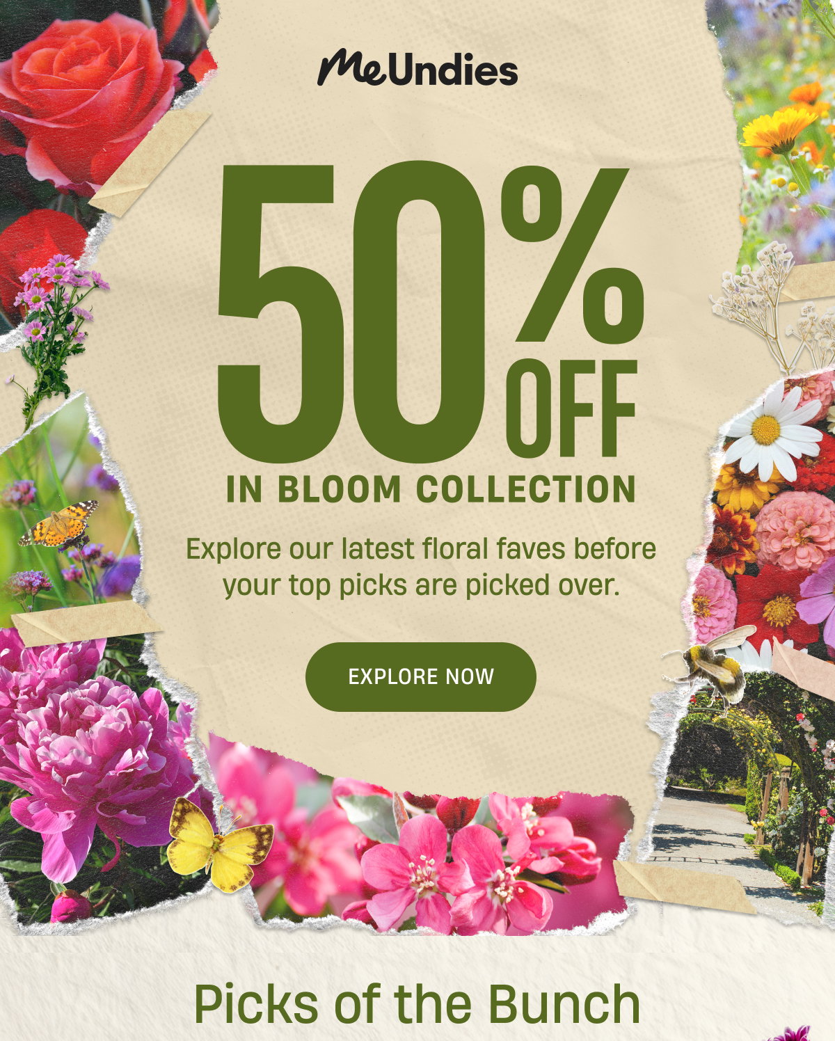 MeUndies | 50% Off In Bloom Collection | Explore Now