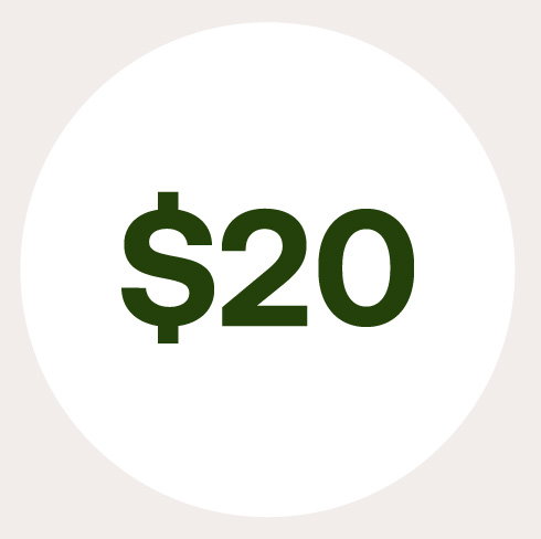 $20