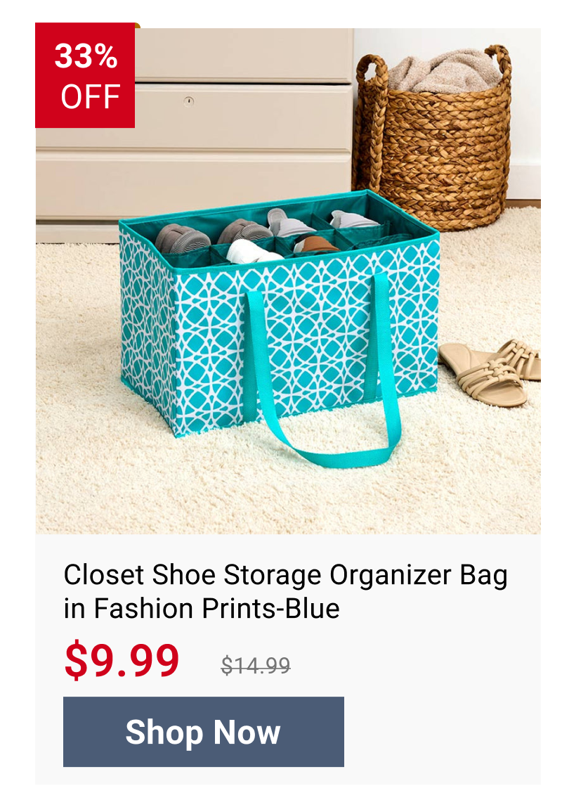 Closet Shoe Storage Organizer Bag in Fashion Prints