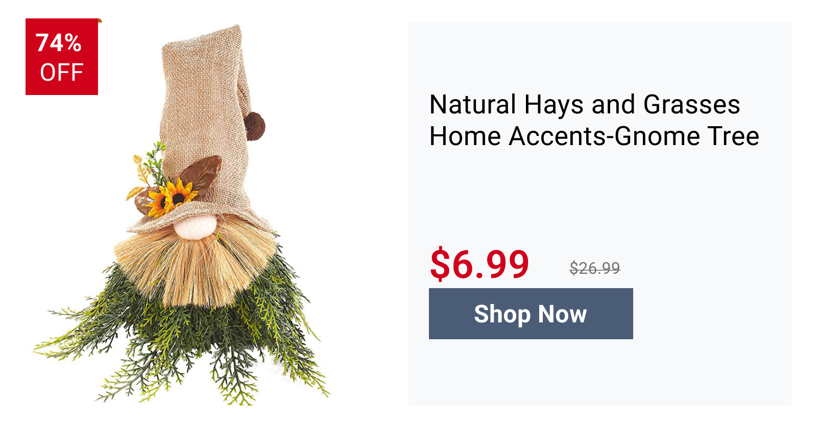 Natural Hays and Grasses Home Accents