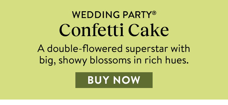 Wedding Party Confetti, Cake Hellebore