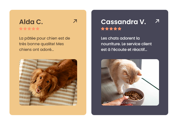 Avis chien + chat