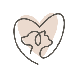 Coeur avec chien + chat