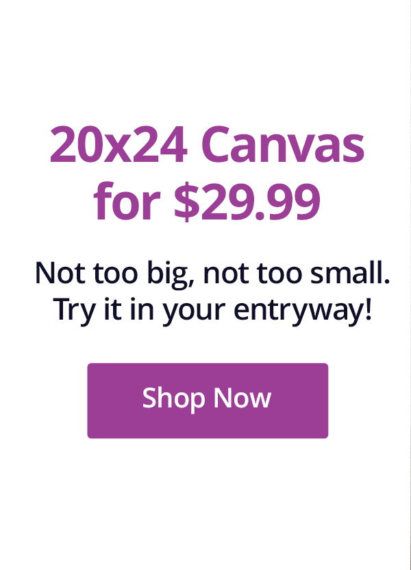 20x24 Canvas for $29.99