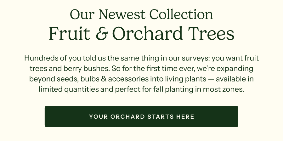 Our Newest Collection Fruit & Orchard Trees