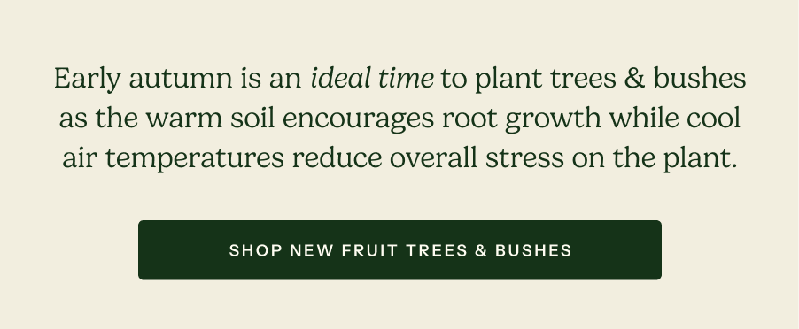 Shop New Fruit Trees & Bushes