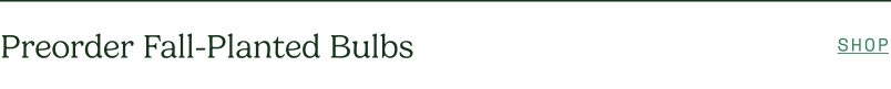 Preorder Fall-Planted Bulbs