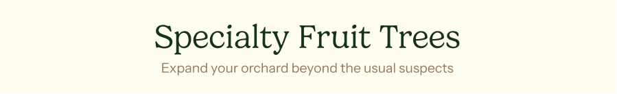 Specialty Fruit Trees