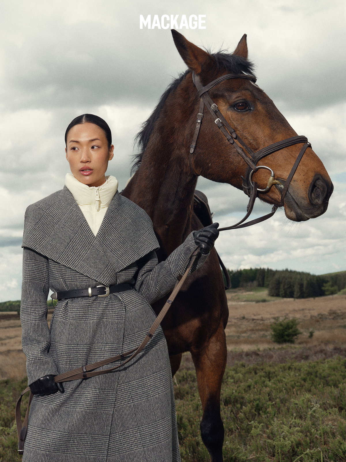 Discover the collection