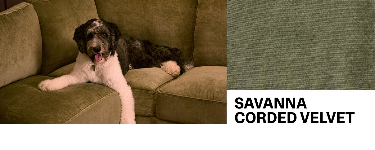 SAVANNA CORDED VELVET
