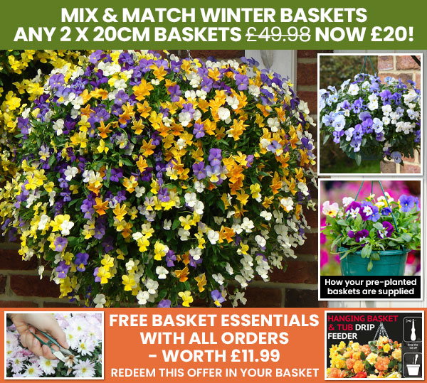 Mix & Match Winter Baskets