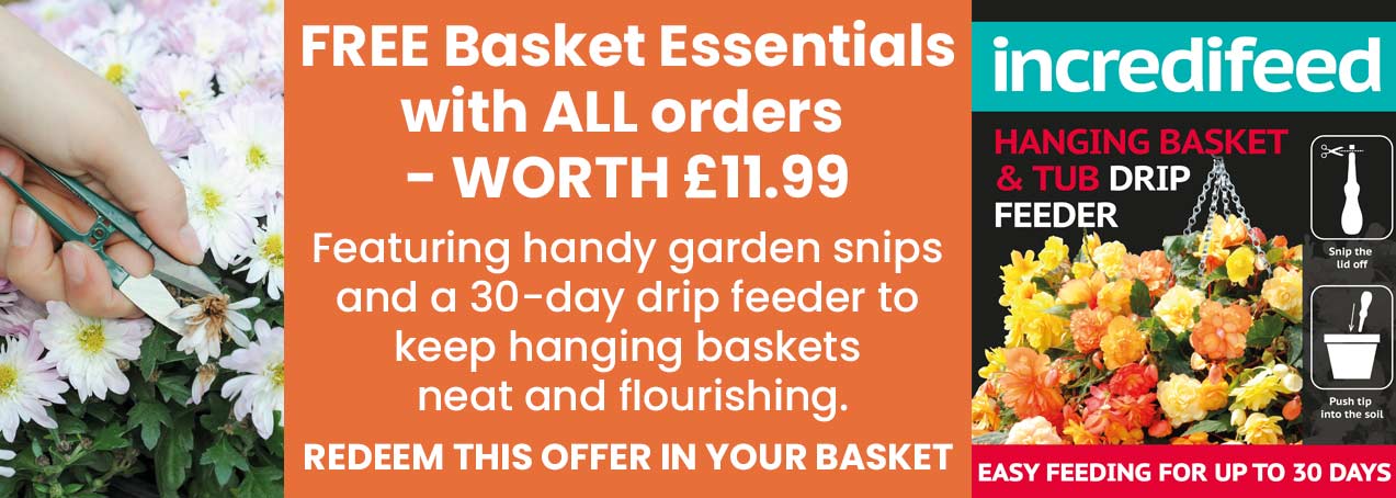 FREE Basket Essentials