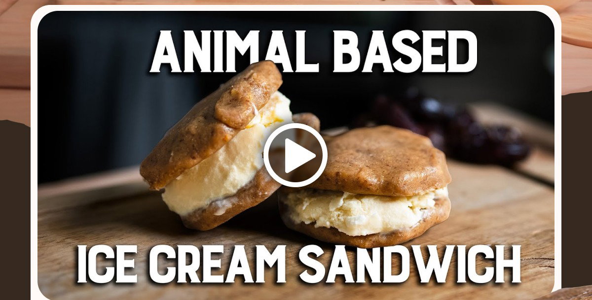 ANIMAL BASED ICE CREAM SANDWICH