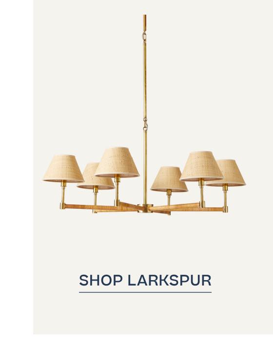 Shop Larkspur