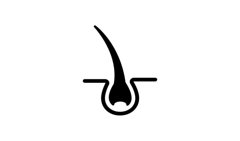 Hair follicle icon.