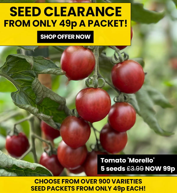 Seed Clearance