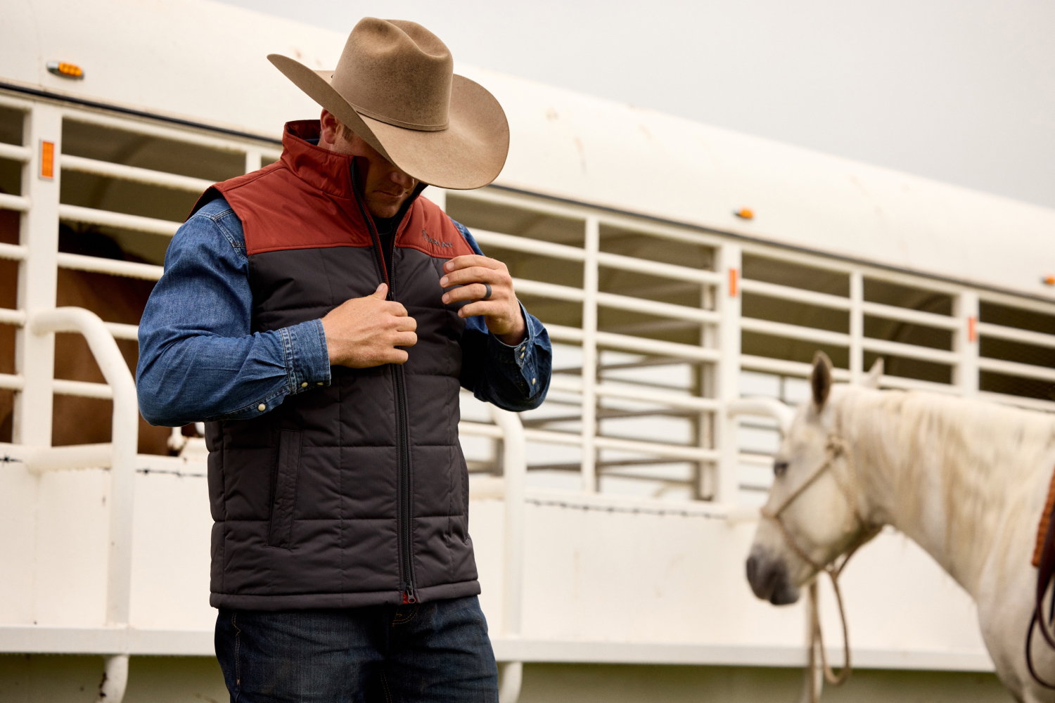 Man and horse