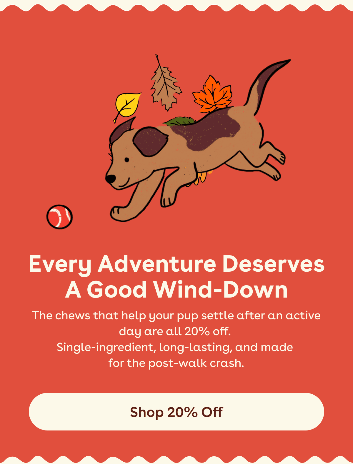 The chews that help your pup settle after an active day are all 20% off.  Single-ingredient, long-lasting, and made  for the post-walk crash.