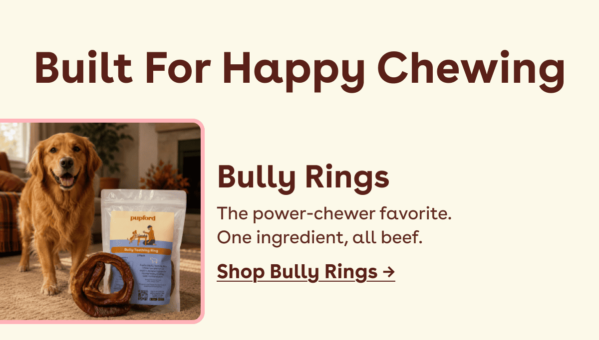 The power-chewer favorite.  One ingredient, all beef.