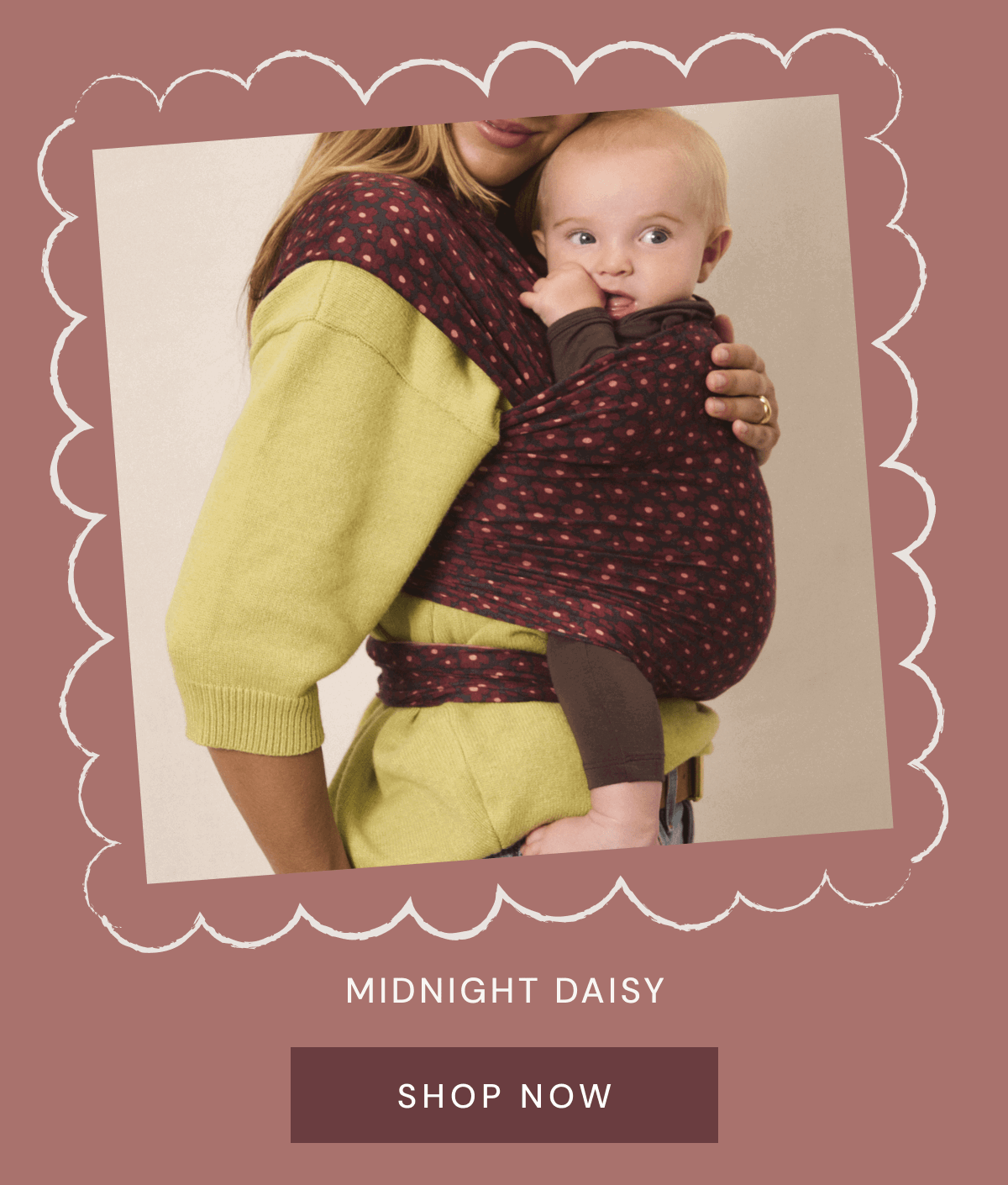 MIDNIGHT DAISY