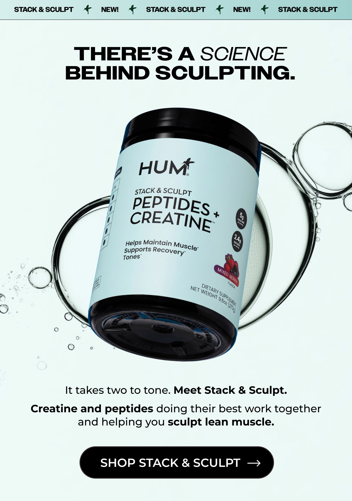 Stack & Sculpt launch