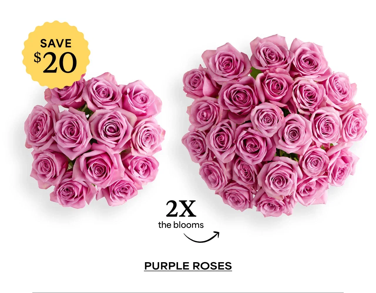 Purple Roses