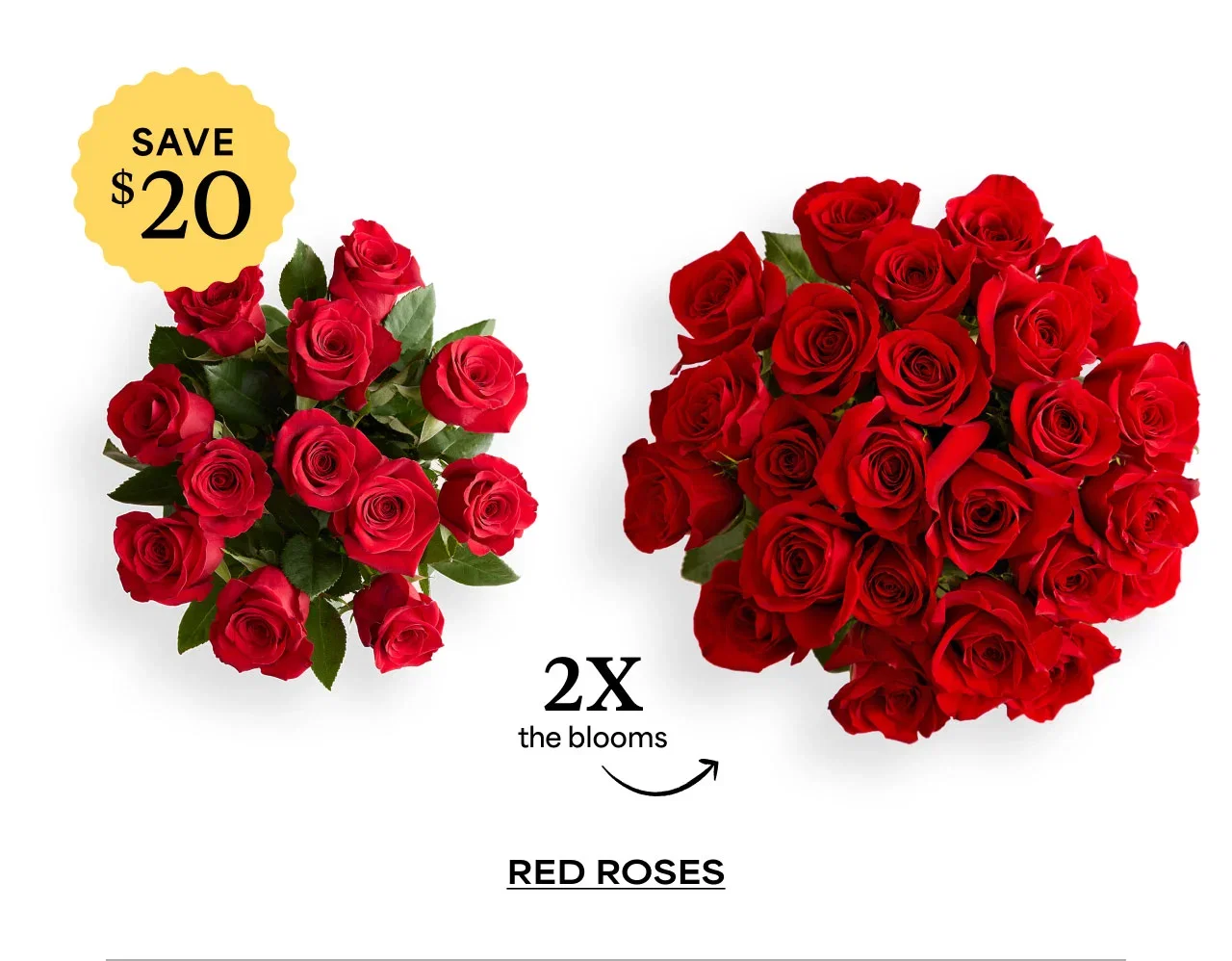 Red Roses