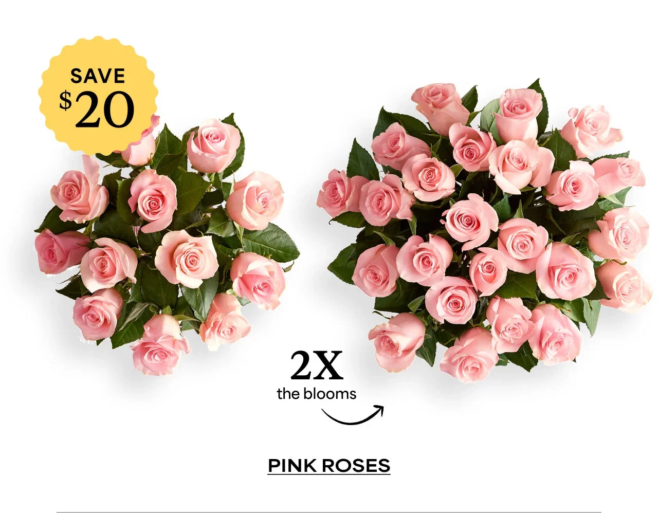 Pink Roses