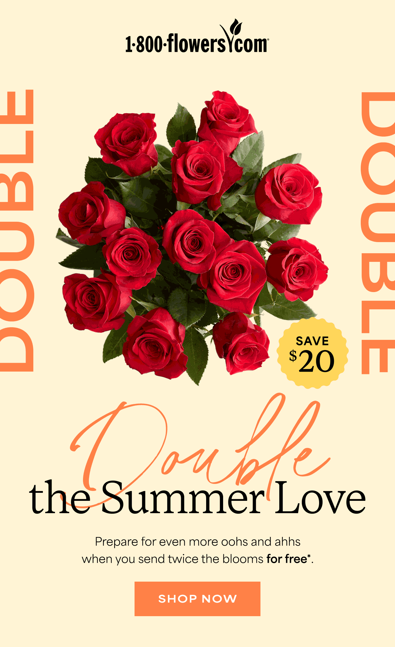 Double the Summer Love | Prepare for even more oohs and ahhs when you send twice the blooms for free.