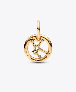 Pisces Zodiac Dangle Charm