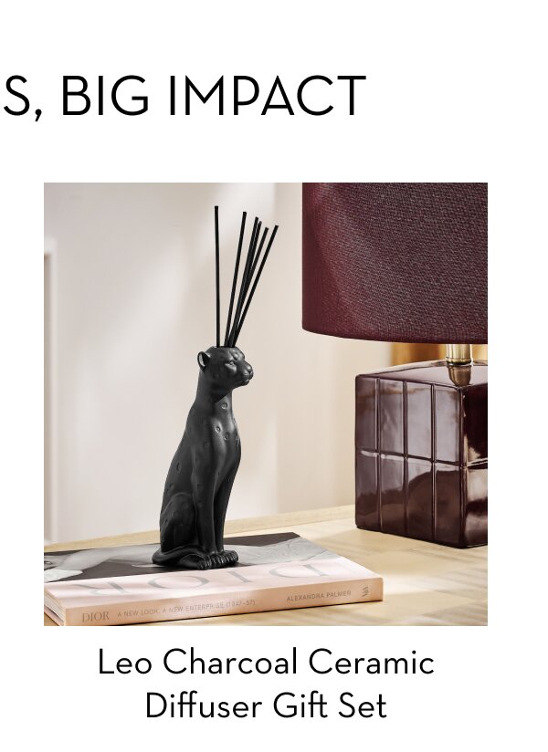Leo Charcoal Ceramic Diffuser Gift Set