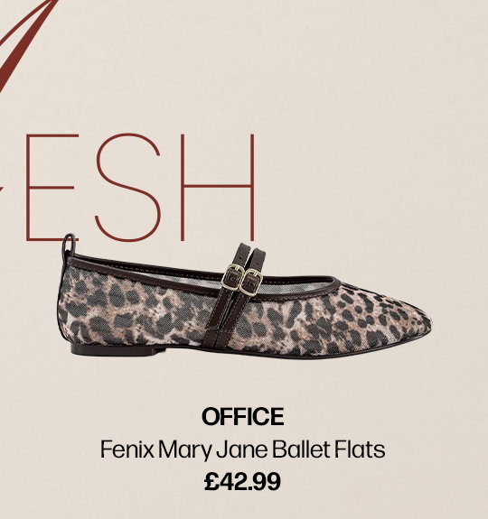 OFFICE Fenix Mary Jane Ballet Pumps Image 