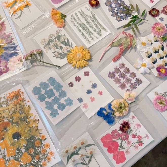 A flat-lay of pressed and dried flowers in assorted colors on a white table.
