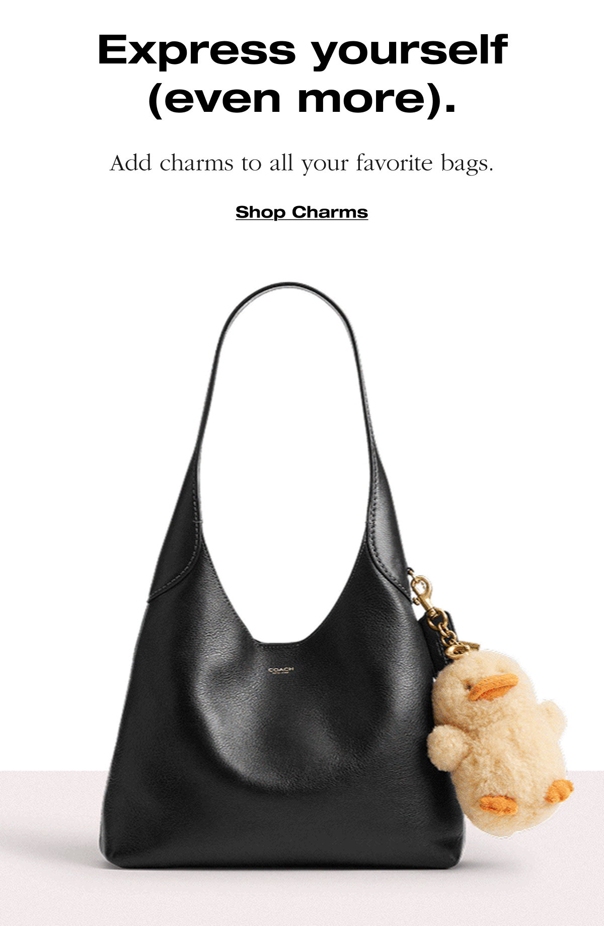 Express yourself (even more). Add charms to all your favorite bags. Shop Charms