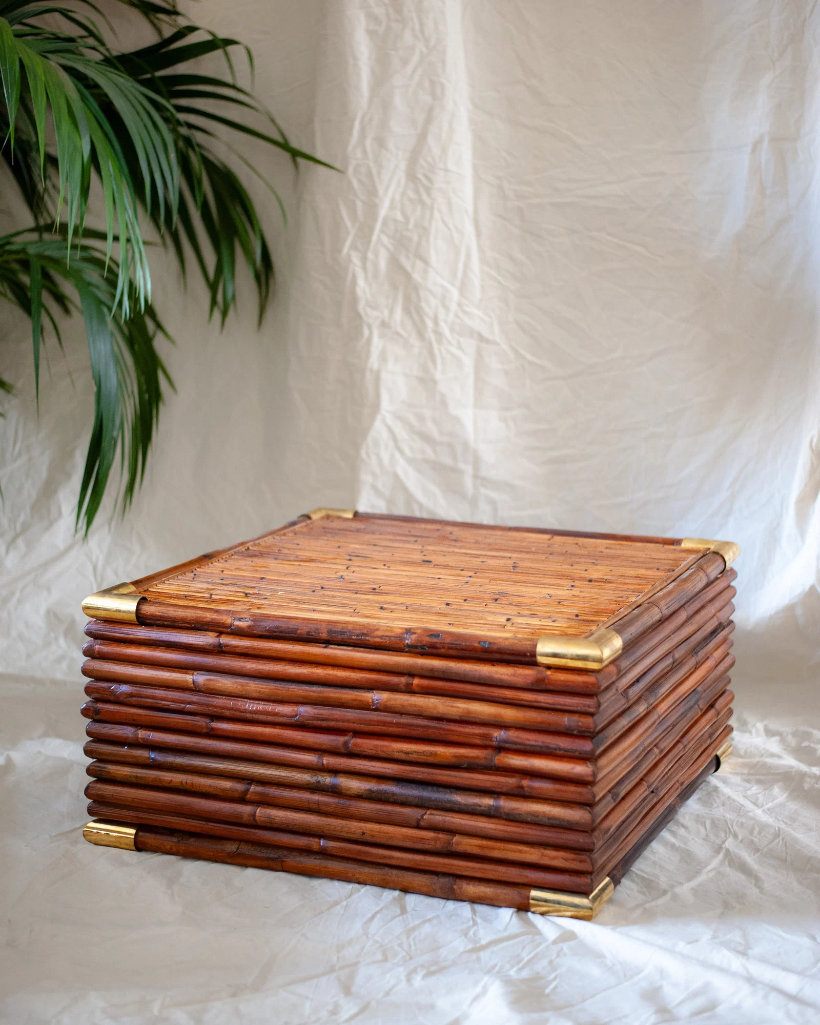 Image of Bamboo Coffee Table 