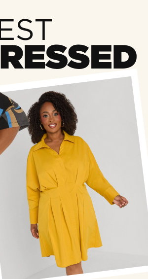 Pleated Poplin Shirtdress