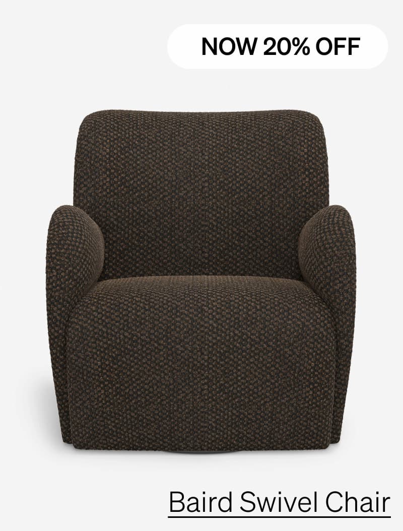 Shop Baird Swivel Chair
