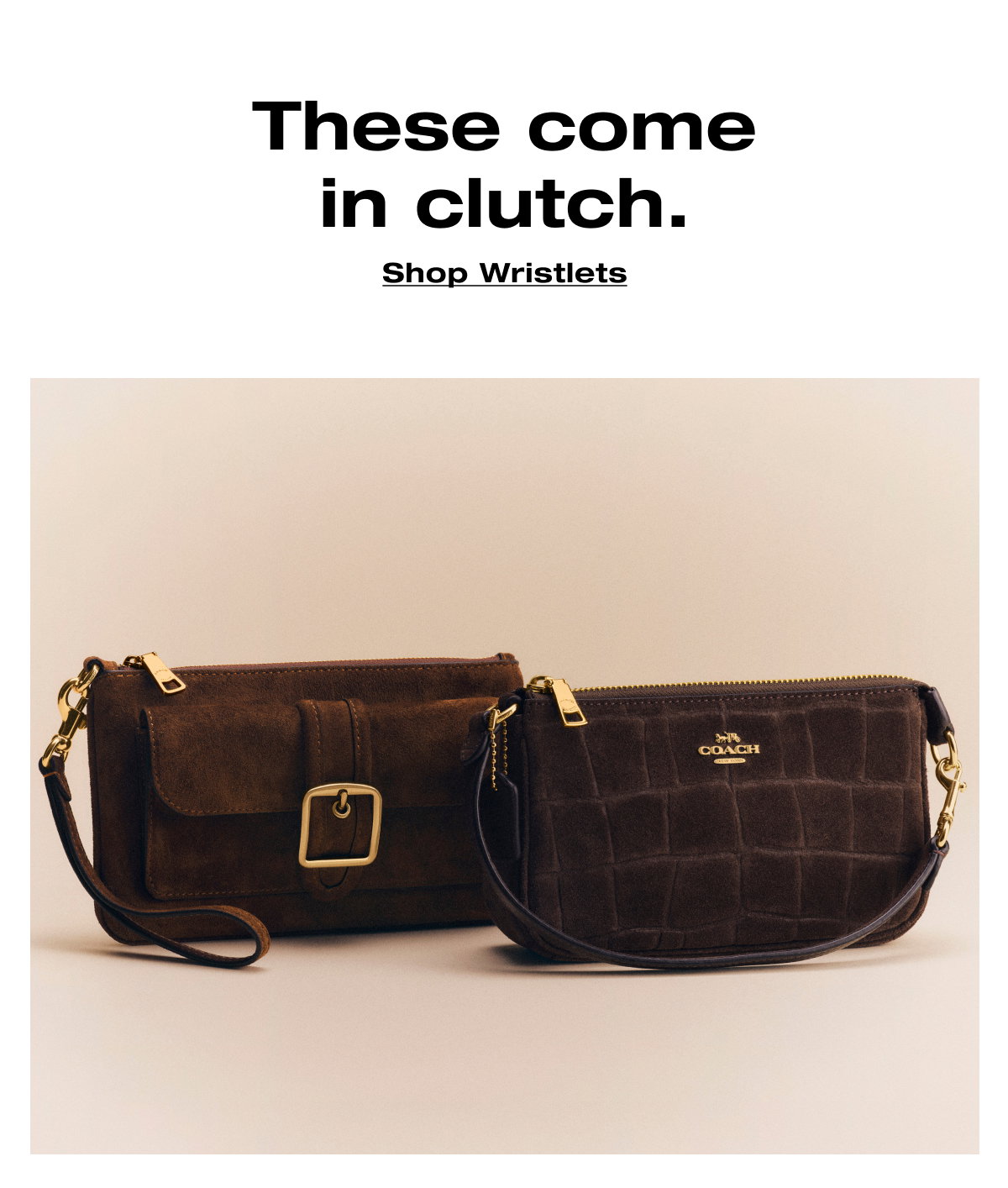 These come in clutch. Shop Wristlets