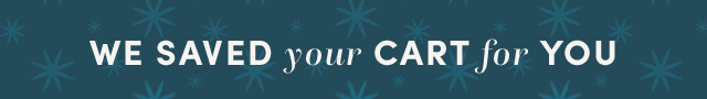  We Saved Your Cart For You ›