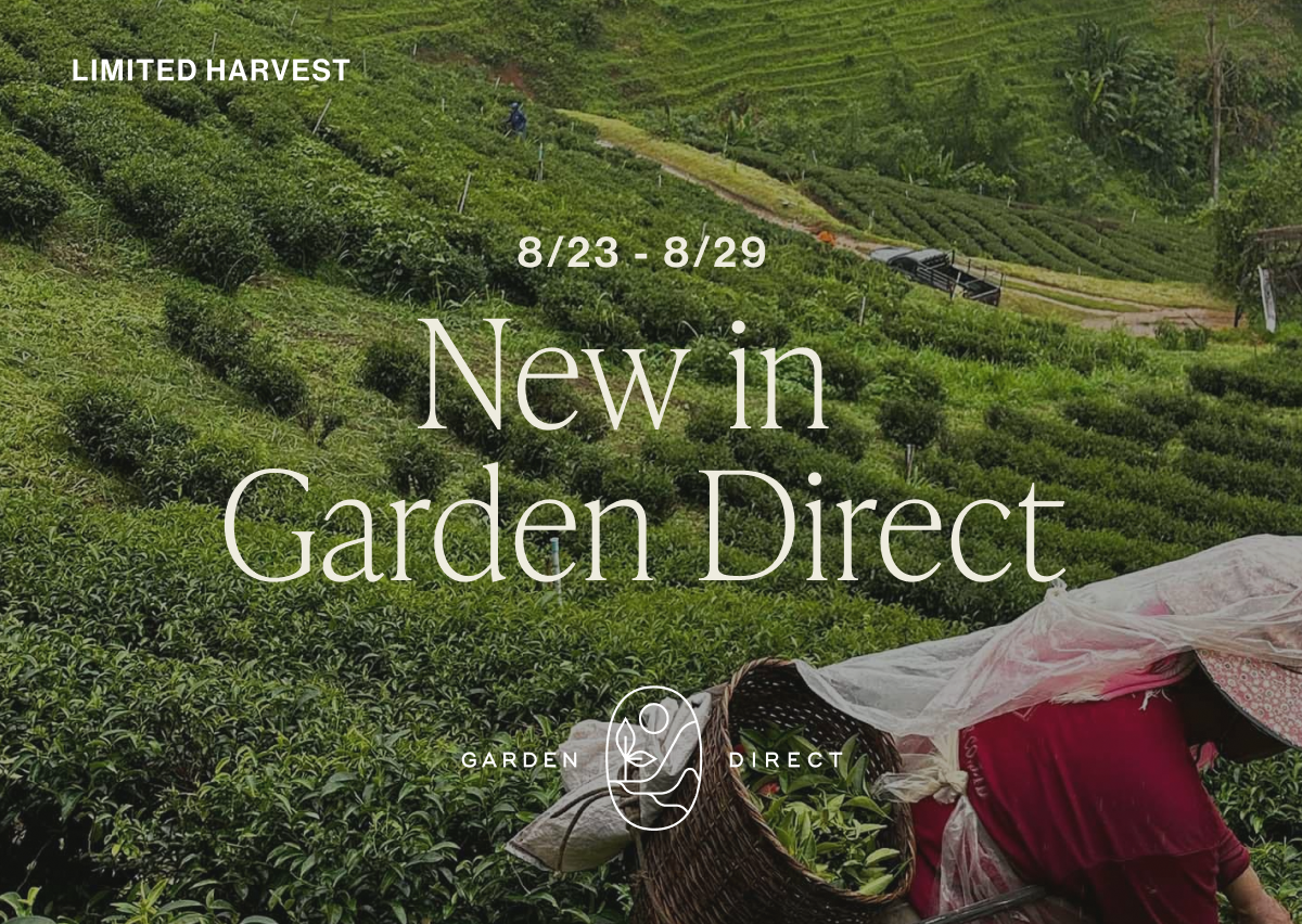 Garden Direct