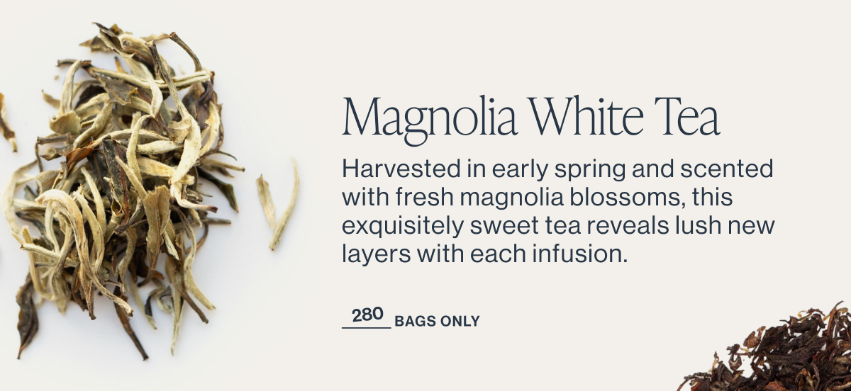 Magnolia White Tea