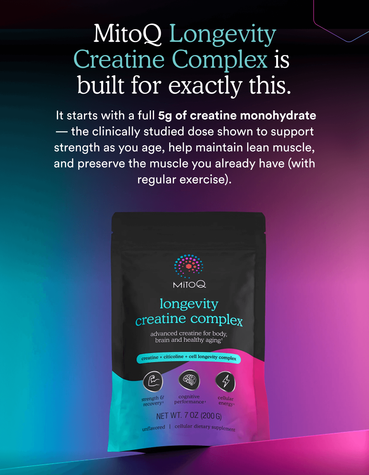 MitoQ Longevity Creatine Complex is  built for exactly this.