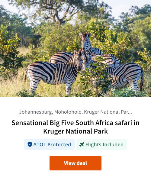 Sensational Big Five South Africa safari in Kruger National Park