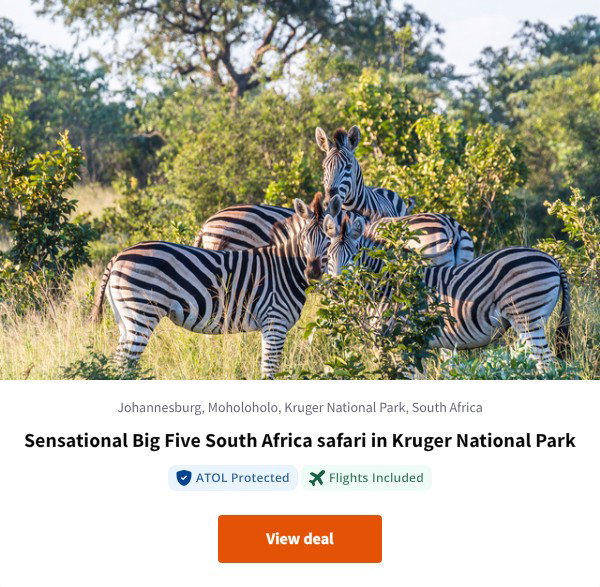 Sensational Big Five South Africa safari in Kruger National Park