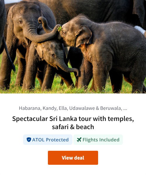 Spectacular Sri Lanka tour with temples, safari &amp; beach