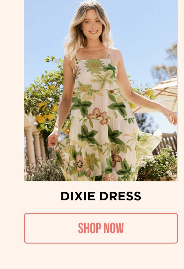 DIXIE DRESS SHOP NOW