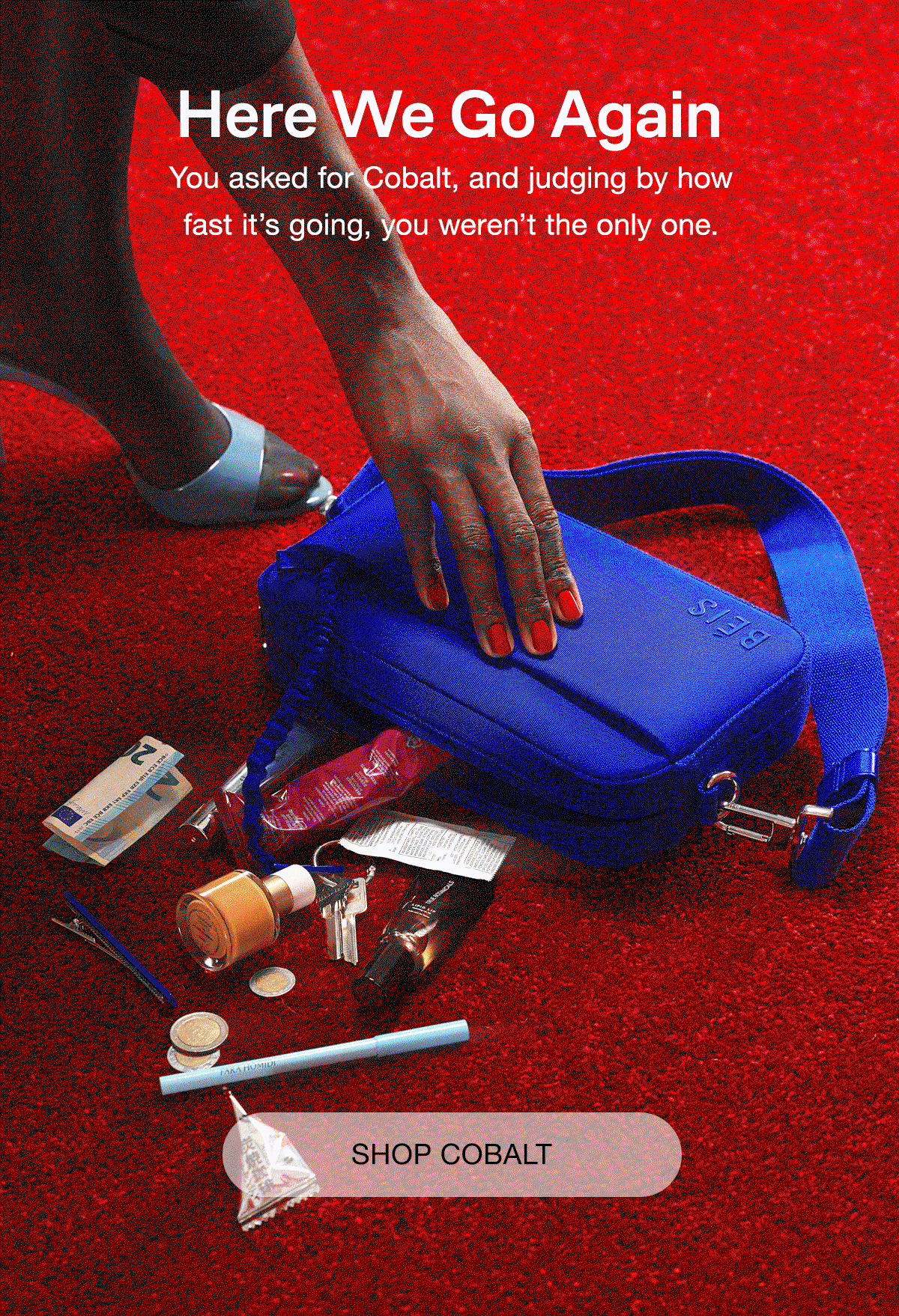 Here We Go Again - Shop Cobalt