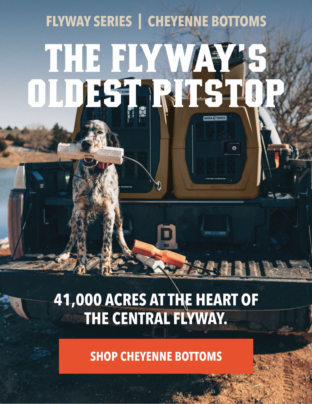 The Flyway's Oldest Pitstop